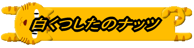 ���������̃i�b�c 
